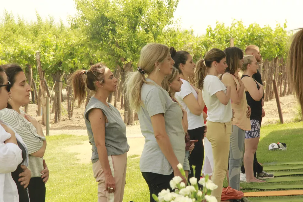 Conexión interior en plena naturaleza vitivinícola