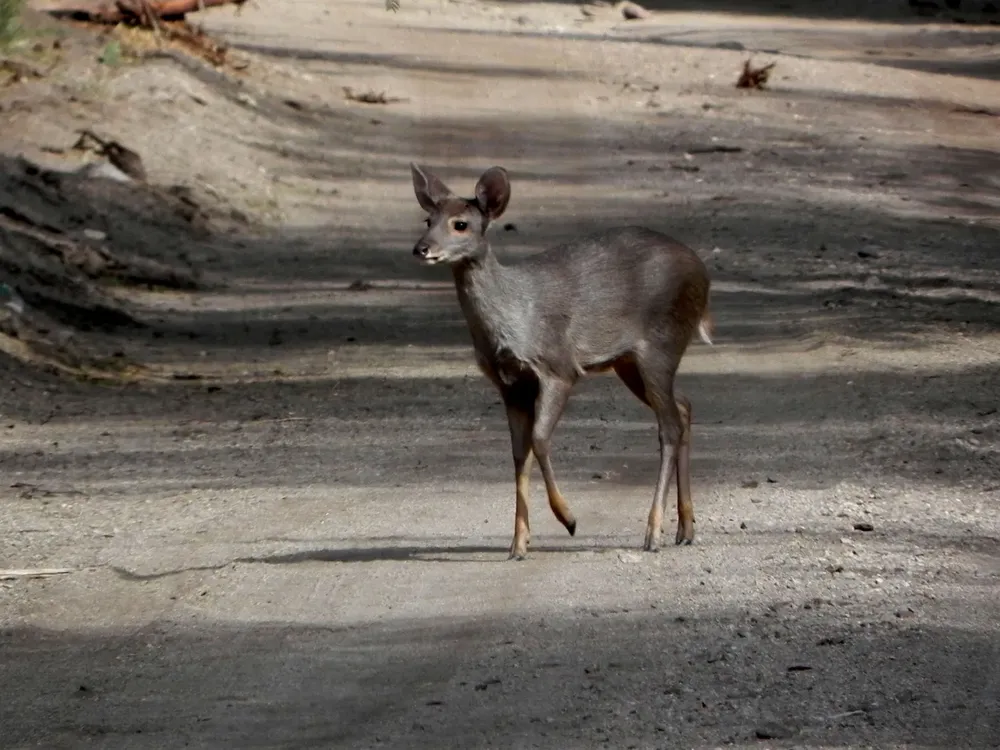 s-461-1-min-1536x1152