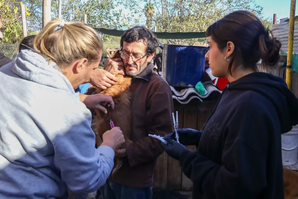 Operativo-por-el-Dia-del-Animal-2026-5-scaled