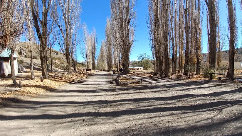 WhatsApp Image 2024-11-24 at 12.01.33 PM