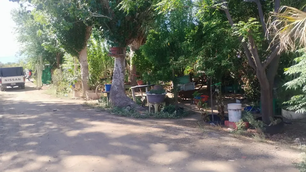 WhatsApp Image 2025-12-10 at 6.47.02 PM