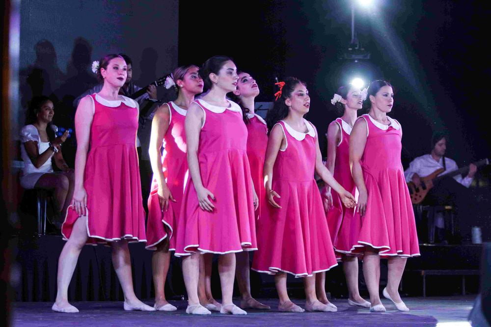 Vendimia distrital (10)