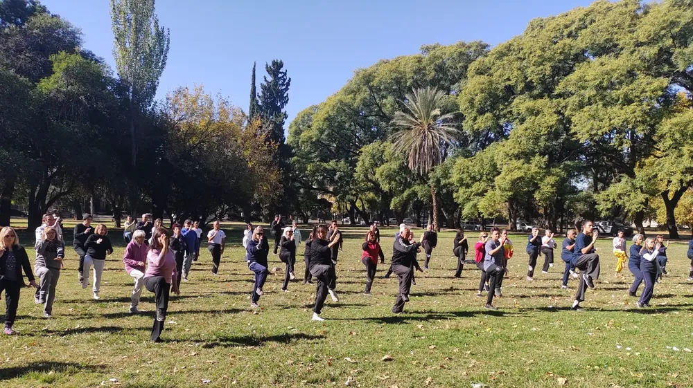tai chi beneficios (7)