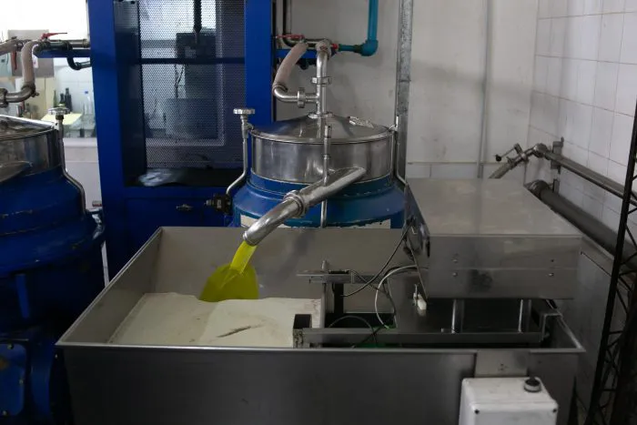 aceite de oliva (10)