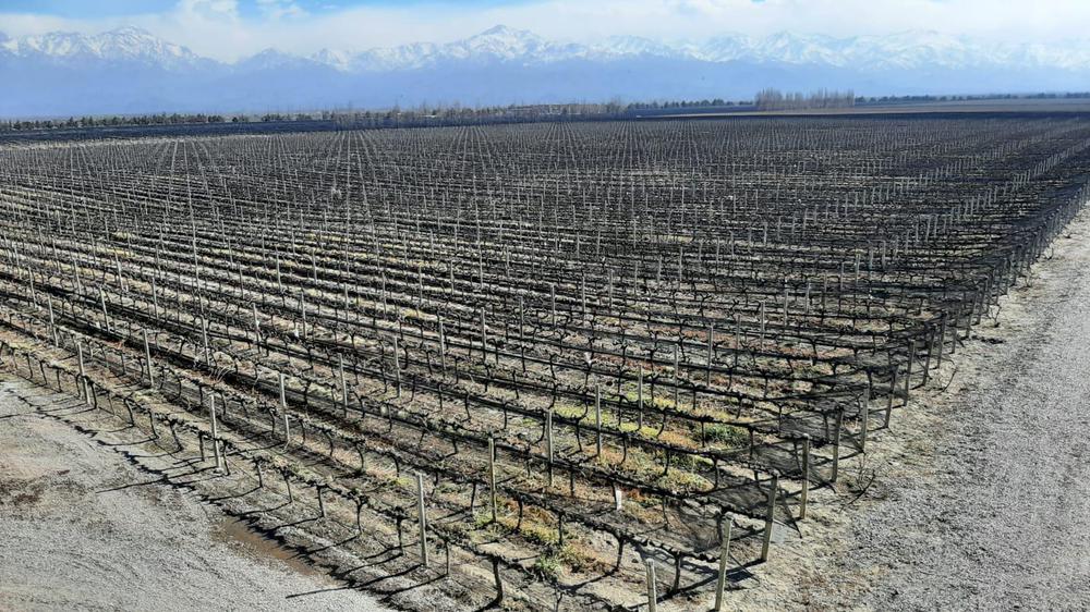 WhatsApp Image 2021-08-28 at 18.56.18