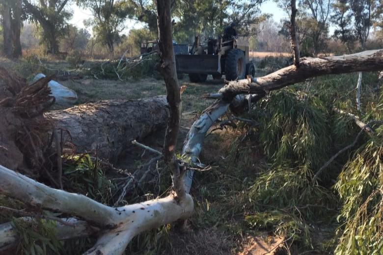 v mercedes carolinos 3