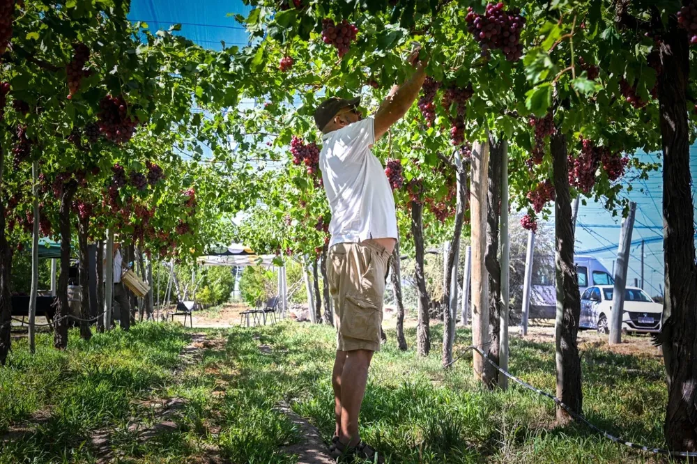 WhatsApp-Image-2026-02-23-at-2.11.29-PM-1-1536x1023