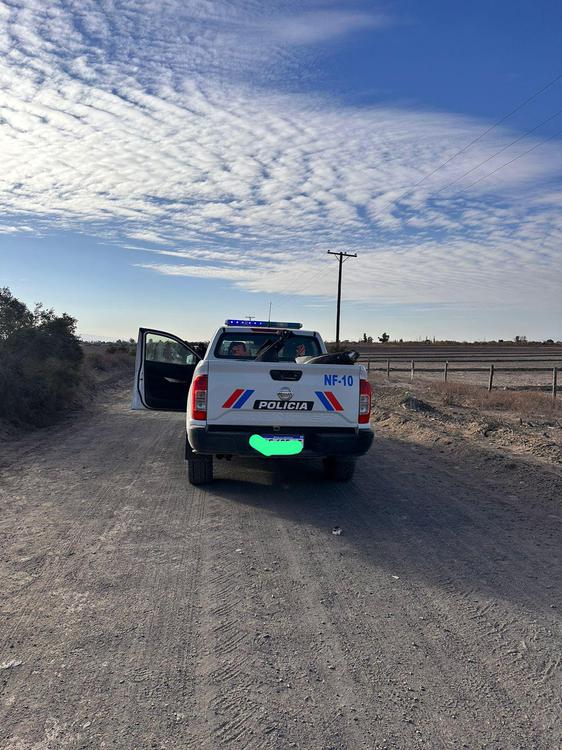 WhatsApp Image 2024-07-11 at 18.52.43