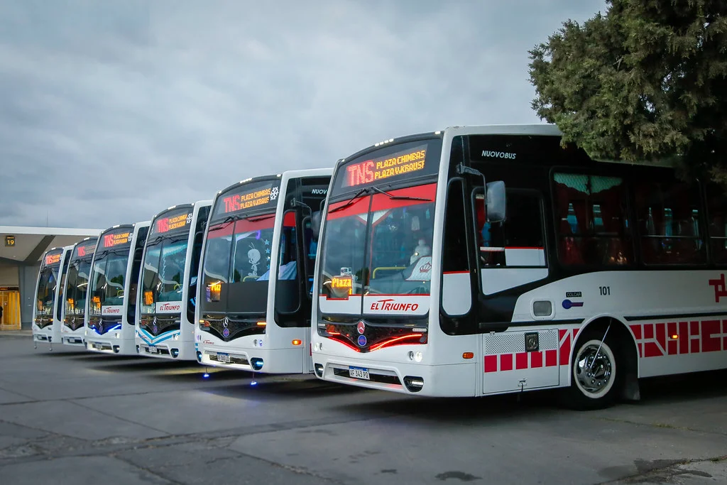 52818538523_e1227826b8_b