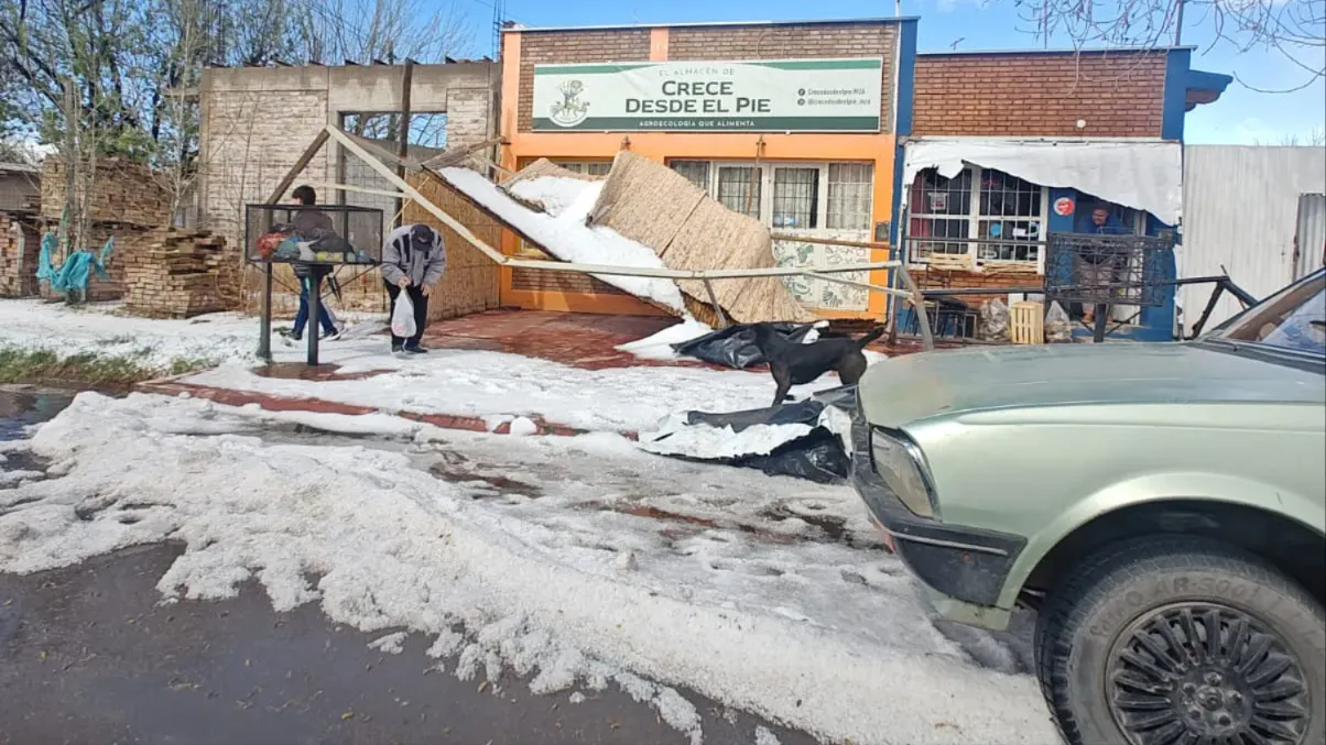 WhatsApp Image 2025-09-21 at 12.05