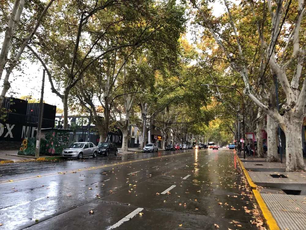 ciudad de mendoza lluvia
