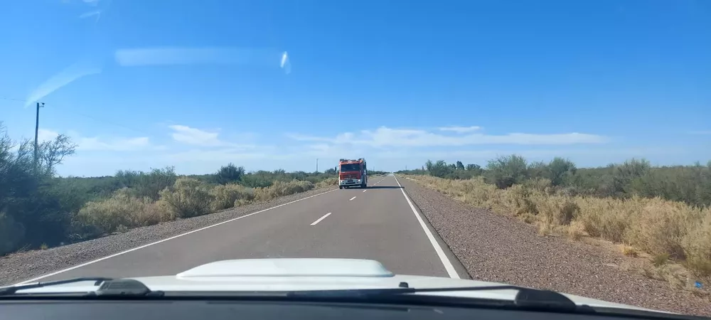 WhatsApp Image 2023-02-27 at 12.47.47