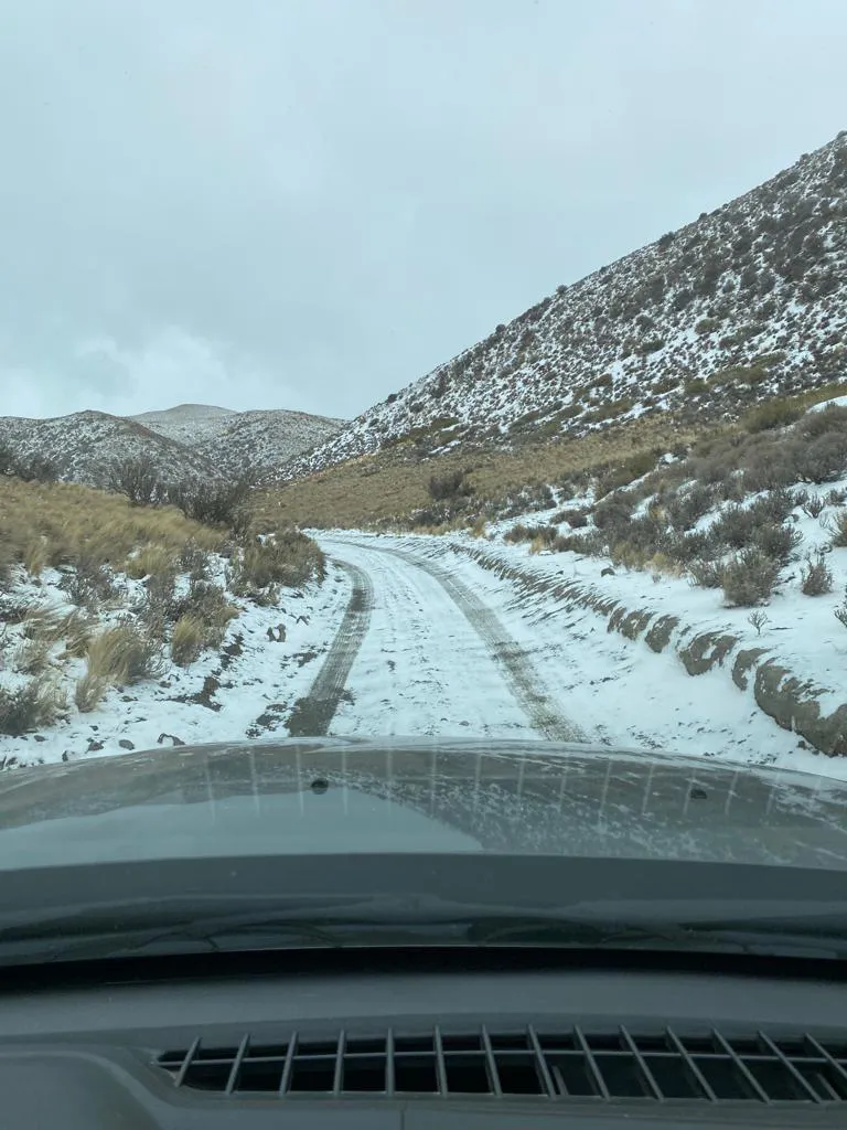 WhatsApp Image 2023-08-21 at 19.17.12