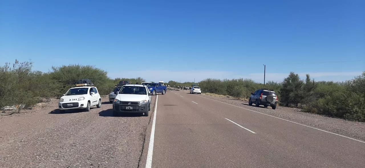 WhatsApp Image 2023-02-26 at 17.20.51