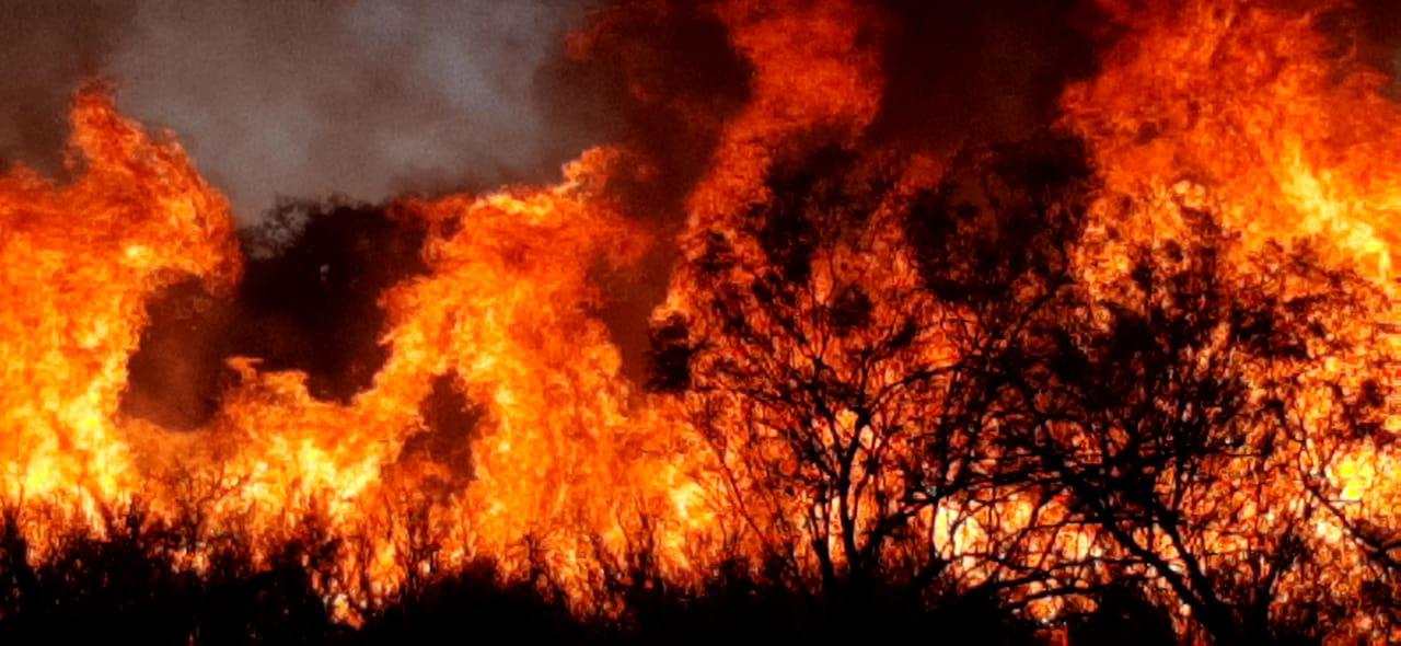 incendios forestales balde de escudero / san luis