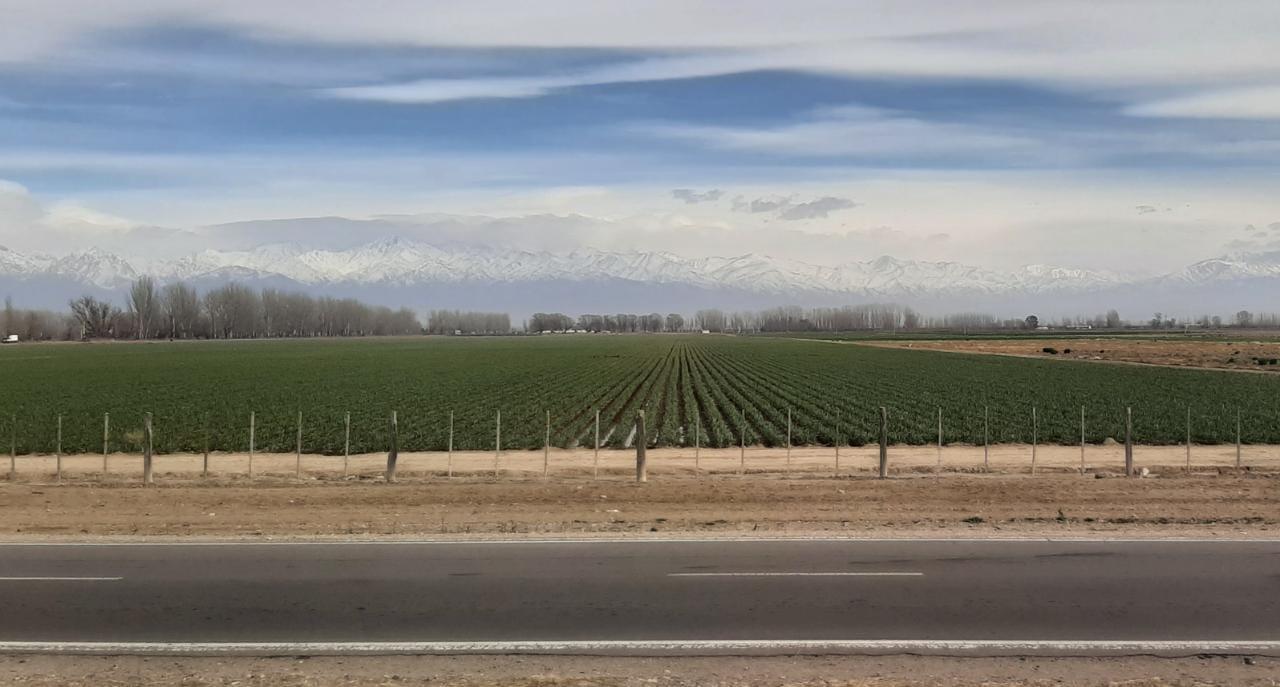 WhatsApp Image 2021-08-28 at 14.53.50