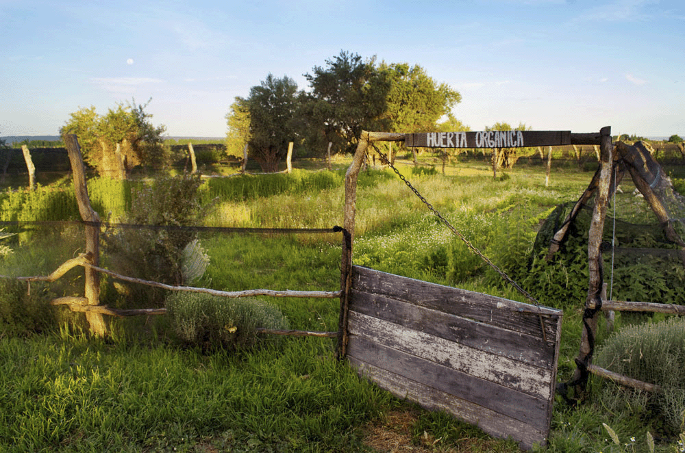 Alpamanta_Huerta_Orgánica