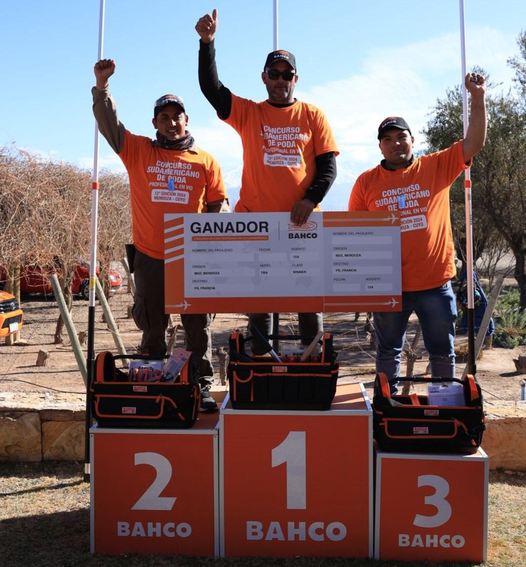 WhatsApp Image 2024-08-01 at 22.25.21