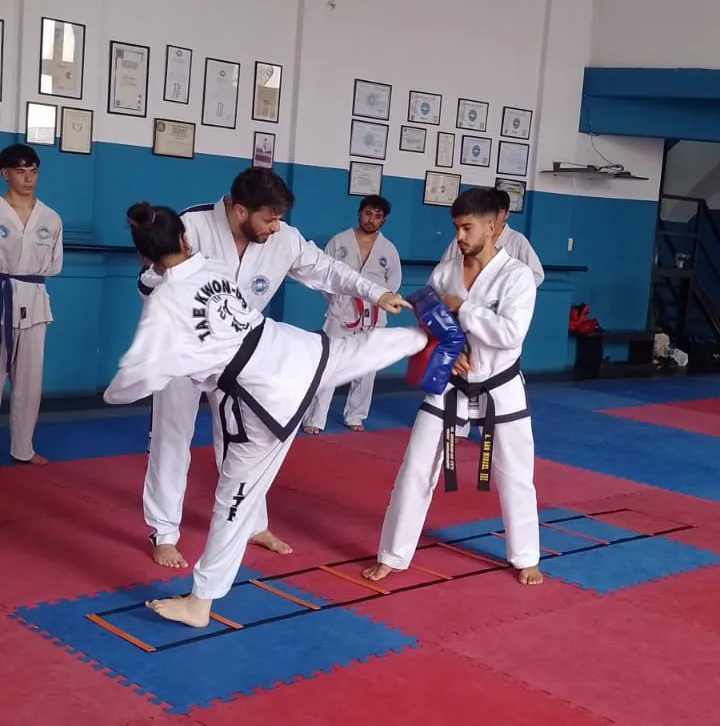   Taekwon-Do