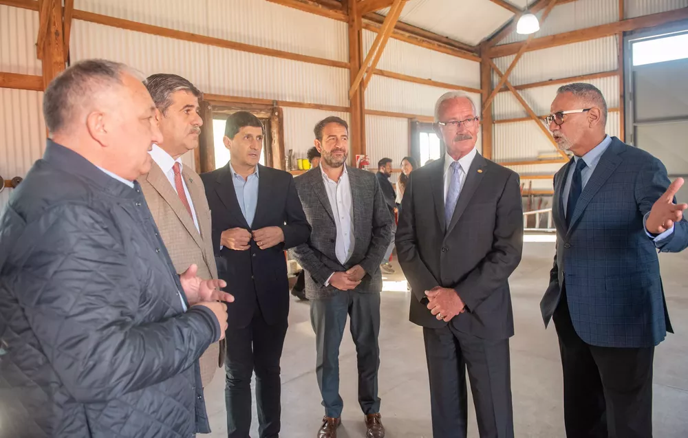 duplas metrotranvia mza (14)