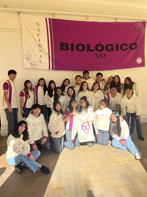 asistencia perfecta vm 3