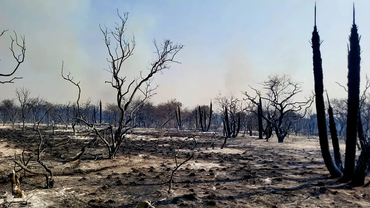 paraje balcarce San Luis