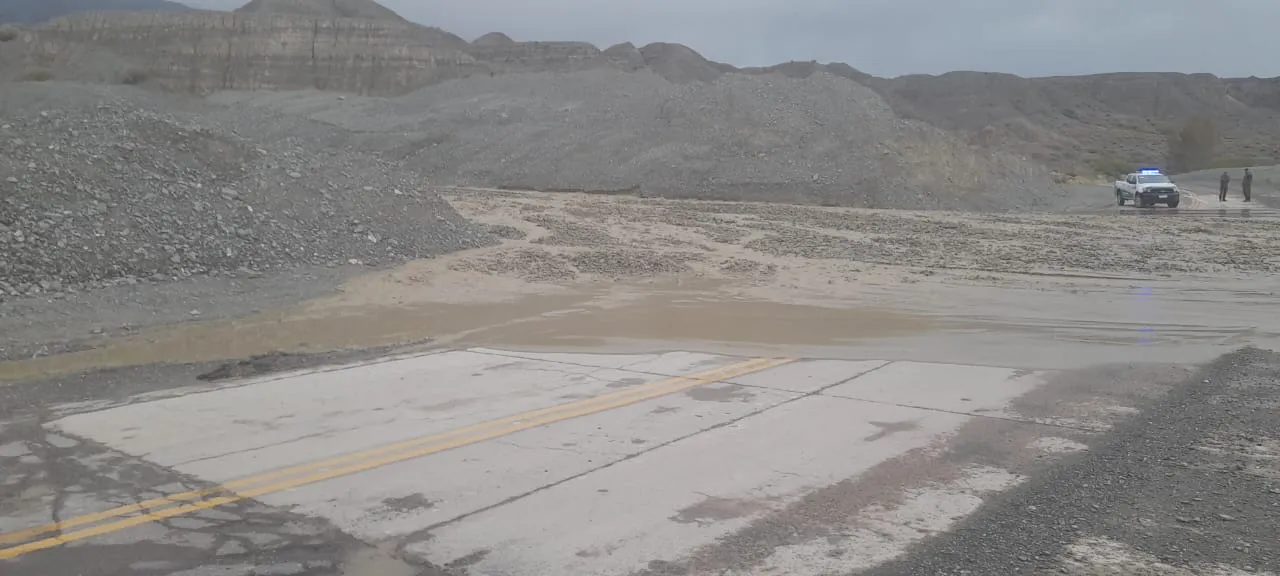 WhatsApp Image 2025-01-11 at 9.00.59 PM