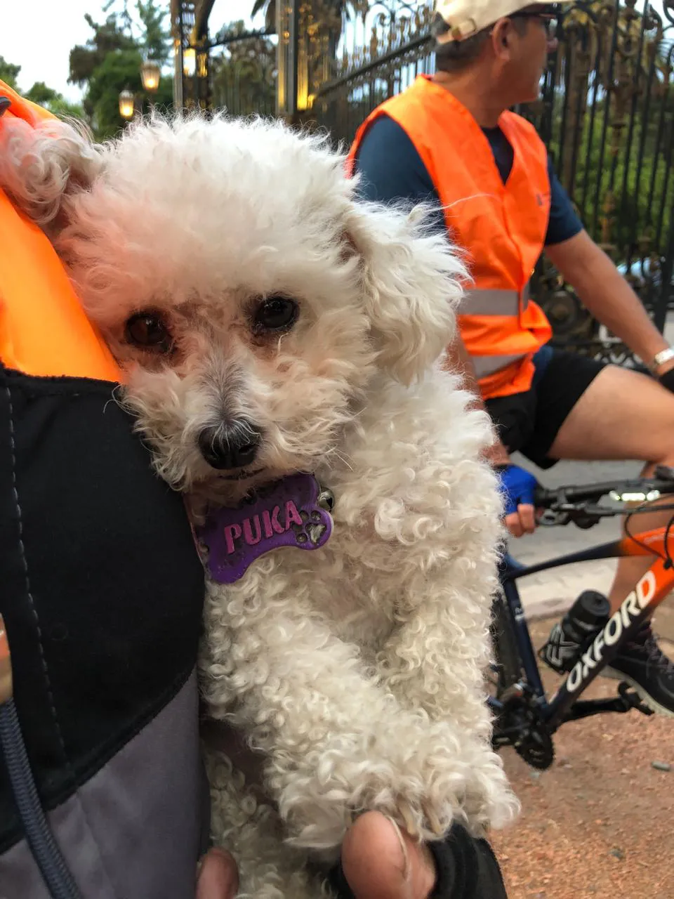 bicitour nocturno ciudad 22032025