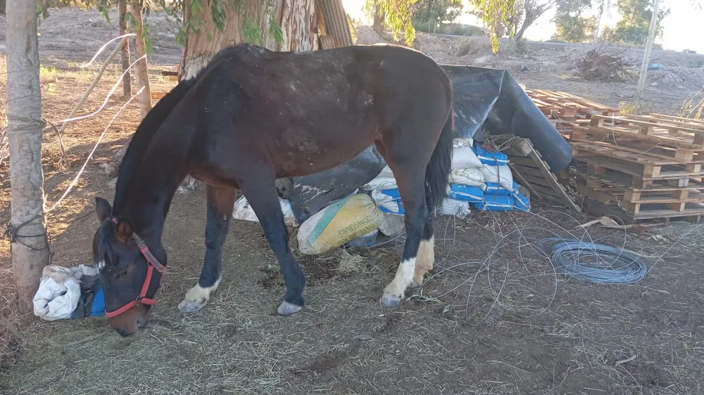 WhatsApp Image 2025-05-30 at 7.38.16 PM (1)