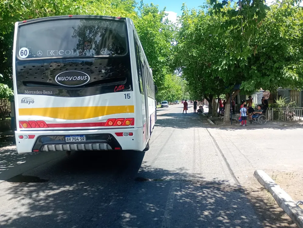 WhatsApp Image 2025-11-15 at 7.29.27 PM