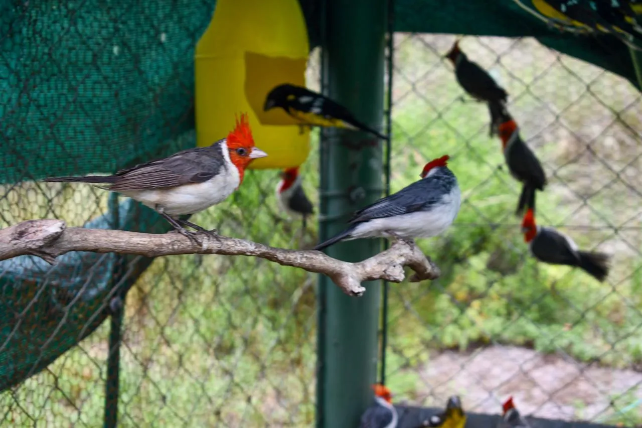 WhatsApp-Image-2024-11-27-at-15.30.12