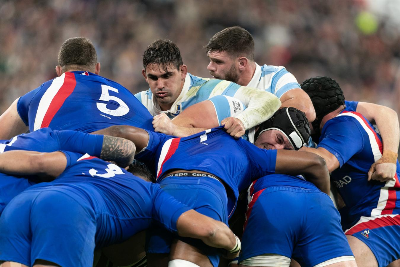 Rugby, Los Pumas, Francia, Malvinas Argentinas
