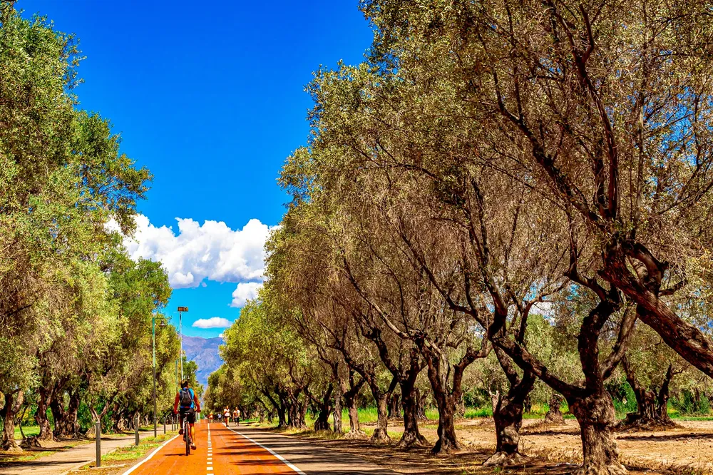 maipu mendoza