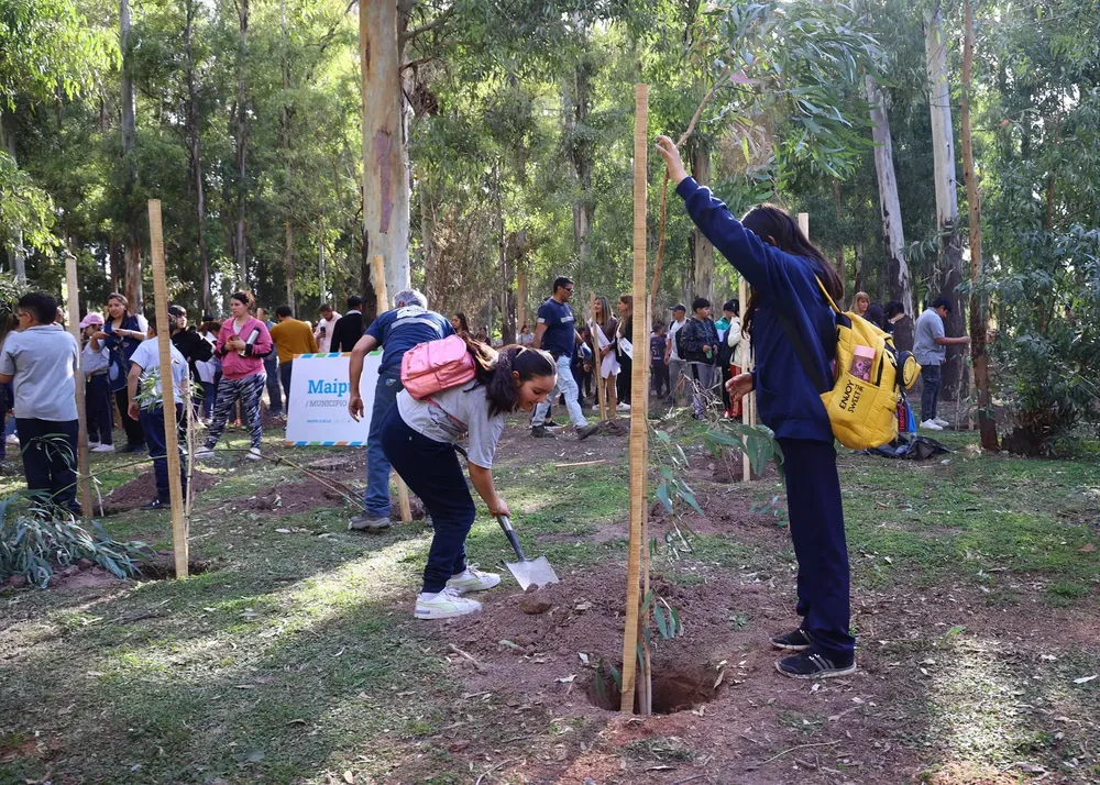 Día provincial del árbol Maipú 4