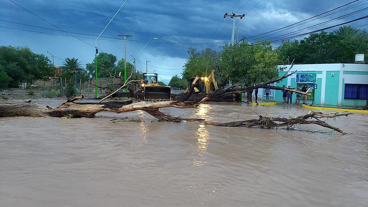 WhatsApp Image 2021-03-01 at 22.02.48