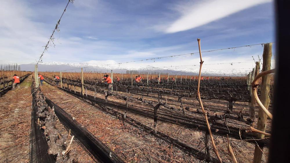 WhatsApp Image 2021-08-28 at 18.59.20 (2)