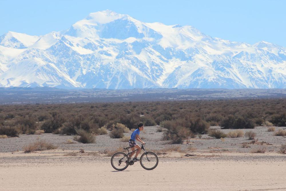 WhatsApp Image 2024-02-26 at 11.36.42 (1)