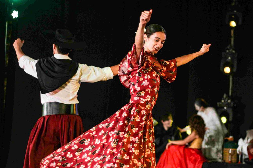 Vendimia distrital (9)