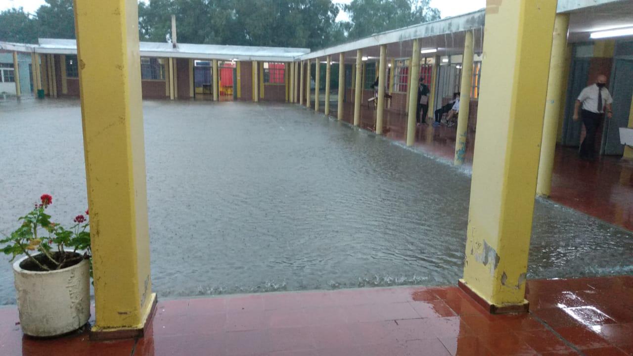 WhatsApp Image 2021-03-01 at 22.00.03