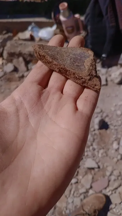 unnamed (7)