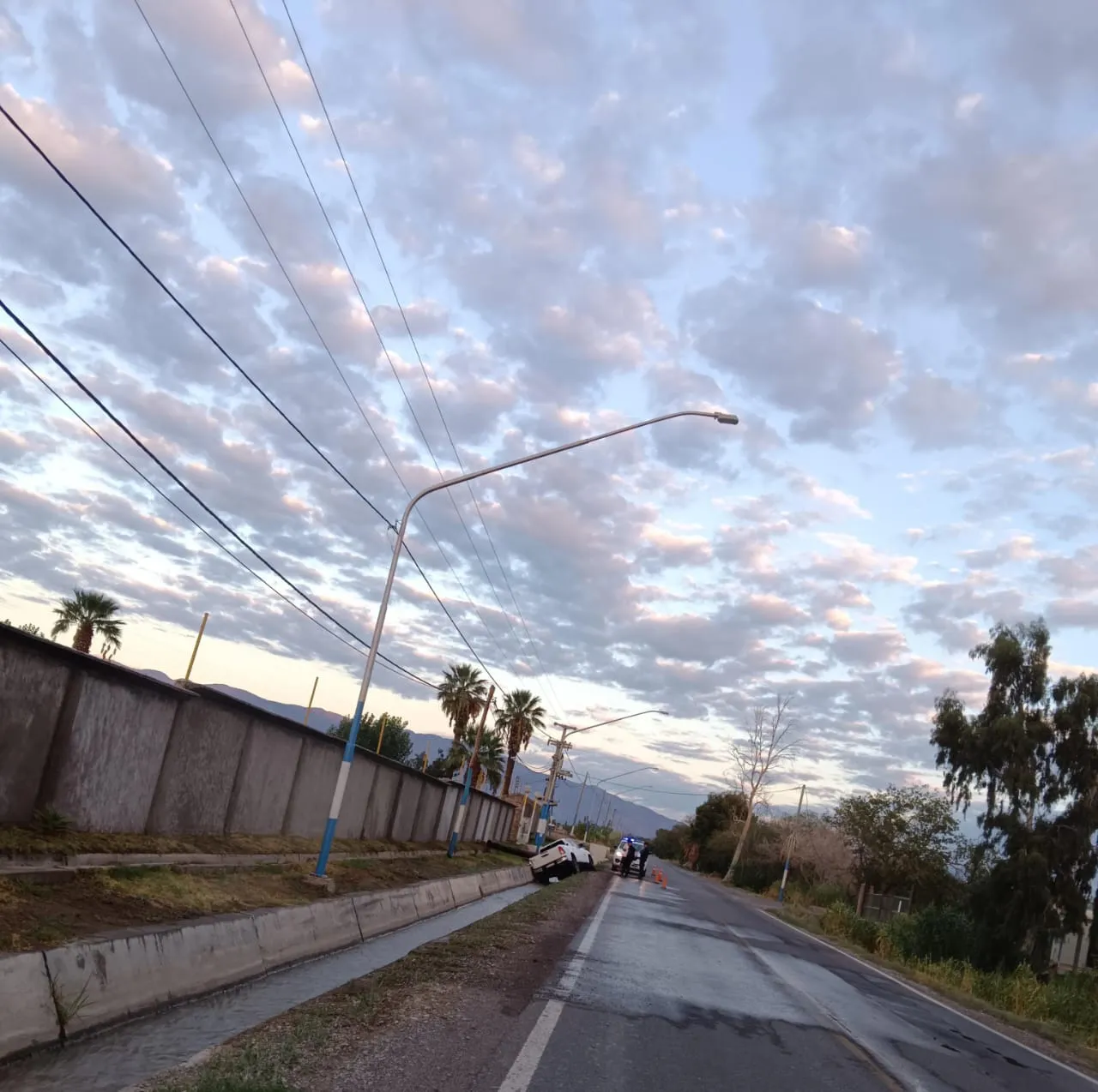 WhatsApp Image 2025-03-16 at 11.35.39 AM