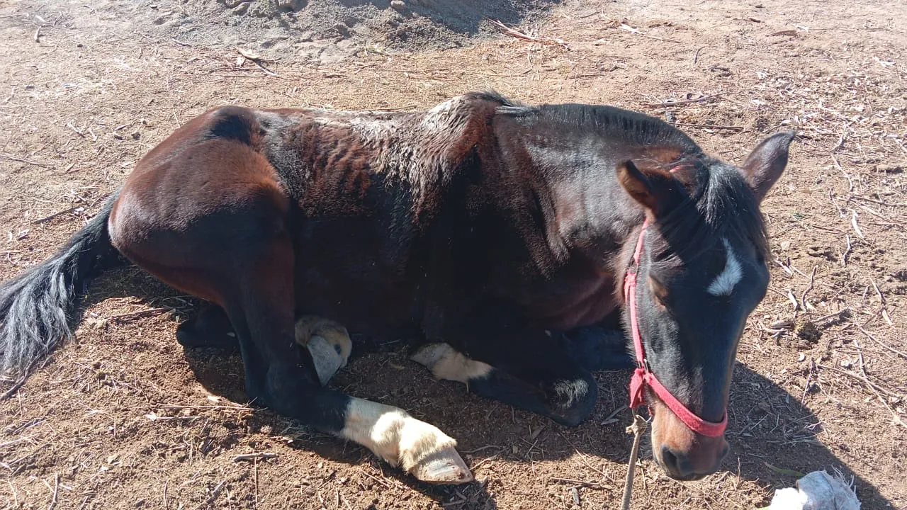 WhatsApp Image 2025-05-30 at 7.38.15 PM