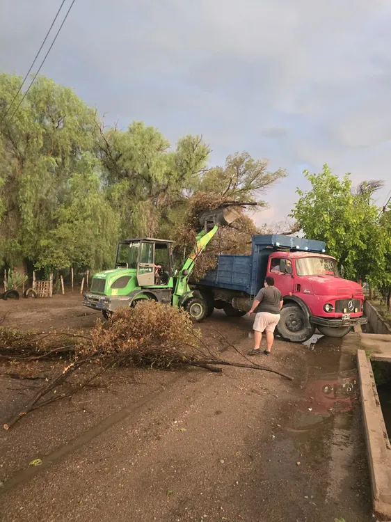 WhatsApp Image 2025-01-23 at 9.49.17 PM (2)