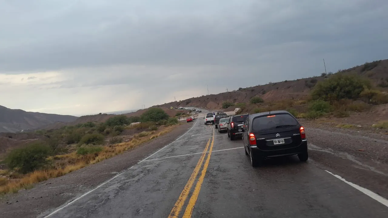 WhatsApp Image 2025-01-11 at 13.18.27