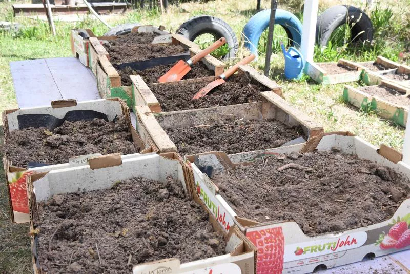 Ambiente Guaymallén 2022 (7)