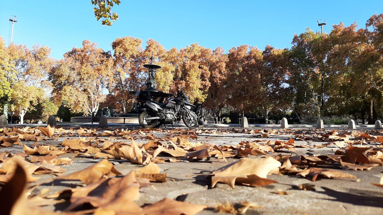 Parque Gral. San Martín /Mendoza-Argentina
