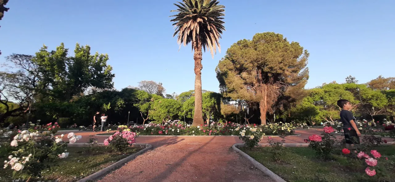 WhatsApp Image 2023-10-27 at 23.36.27 (1)