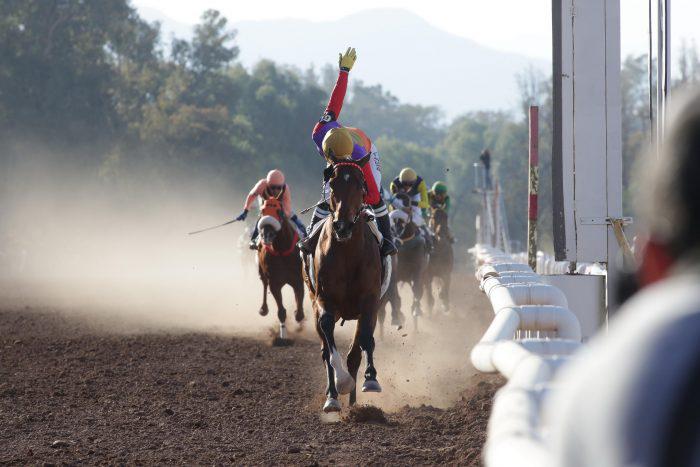 Turf, Patrón Santiago, 69na edición 2024