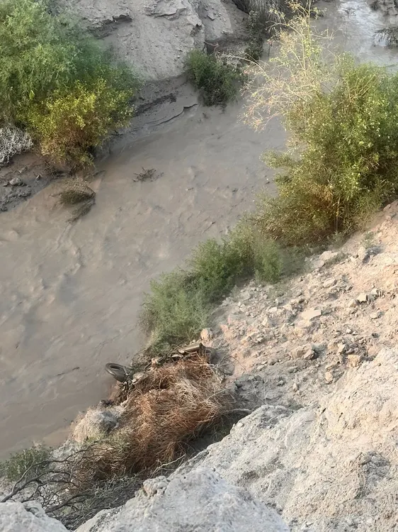 WhatsApp Image 2025-01-26 at 7.56.38 PM