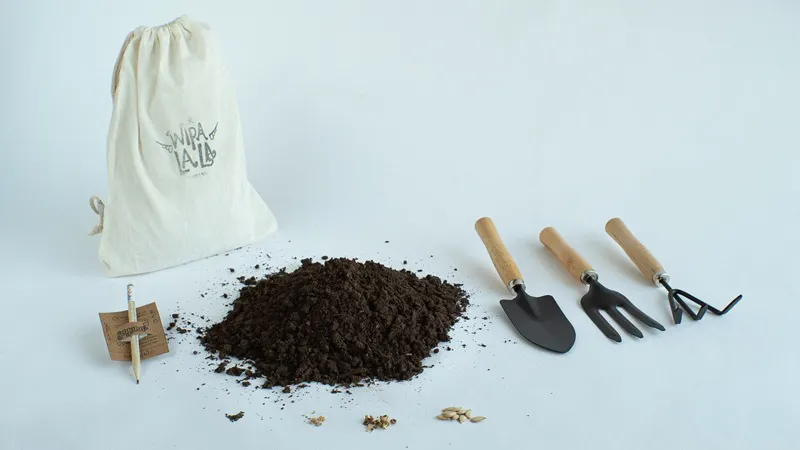 Wipalala Juguetes (1)